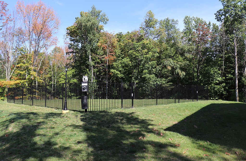 a park with a black wrought iron fence and a grass field