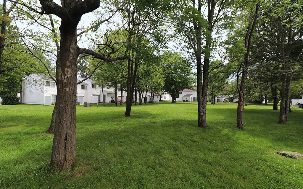 a park with trees and houses in the background