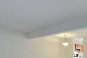 754 Robin Rd Amherst - Living Room Dining Room Combo