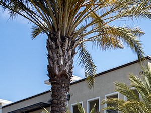 3 bedroom apartments for rent in culver city ca rentcafé