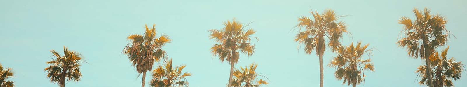 Apartments In Playa Vista Ca Accent Maps Directions