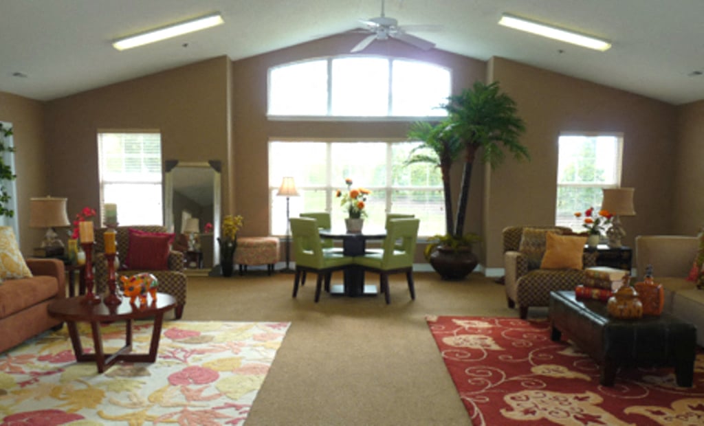 A living room with a rug and a potted plant.