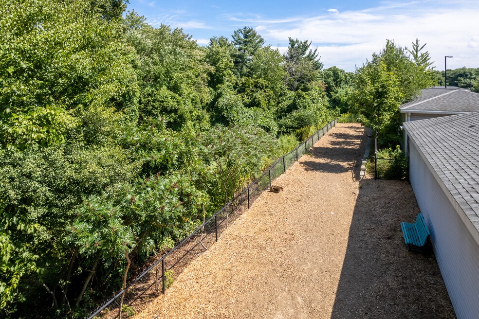 a view of a yard with a fence and trees