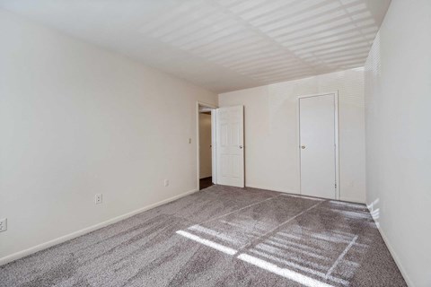 a living room with carpet and a door to a closet