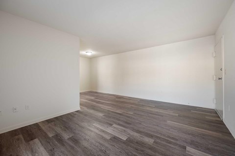 a living room with white walls and wood floors