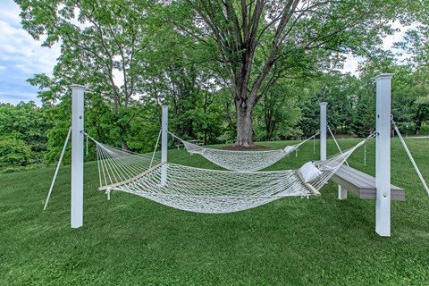 a hammock swing in the shade of a tree