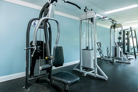 a gym with weights and cardio equipment in a treatment room