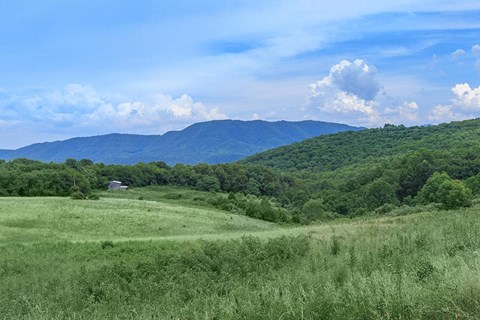 a farm in a field with mountains in the background