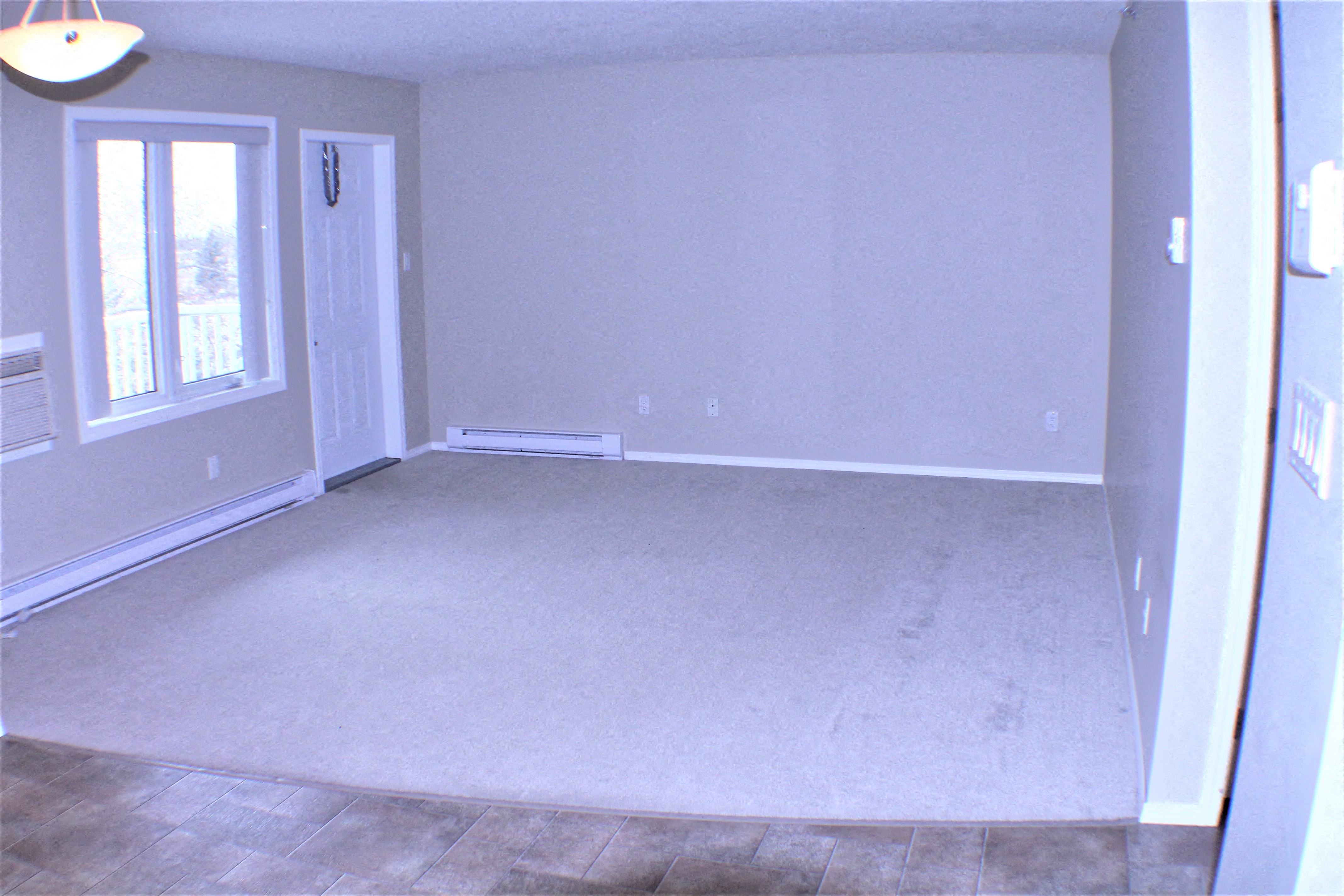an empty living room with white carpet and a window