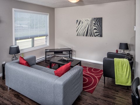 a living room with a couch and a coffee table