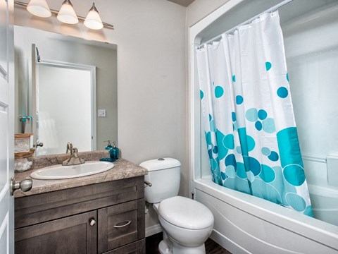 a bathroom with a shower curtain and a toilet and a sink
