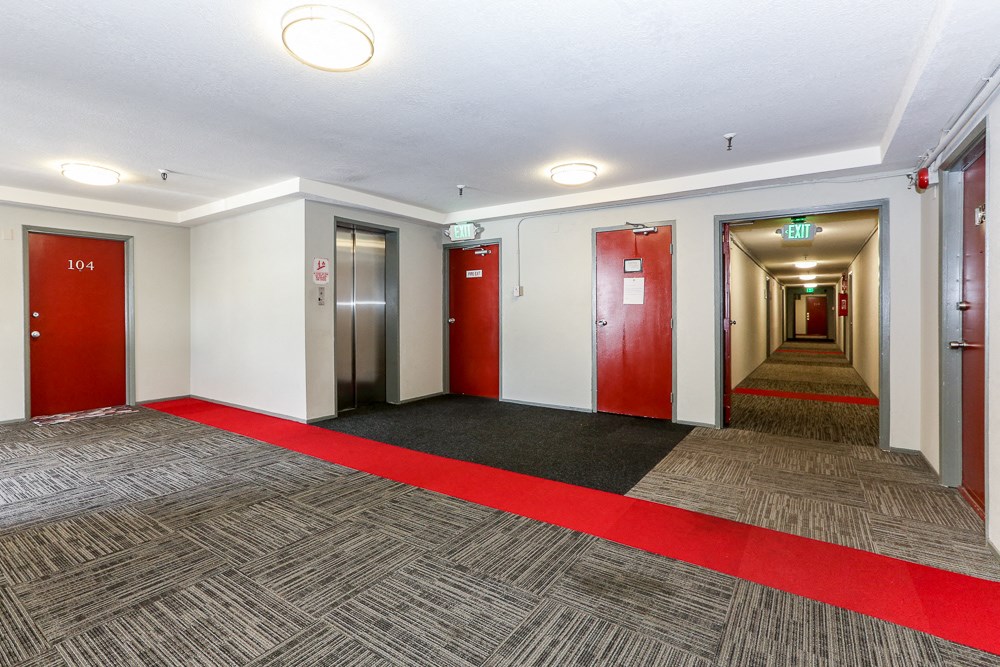 a corridor of elevators and red carpeting in a building