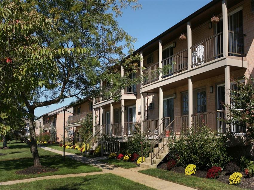 40 Chapman Boulevard 1-2 Beds Apartment for Rent - Photo Gallery