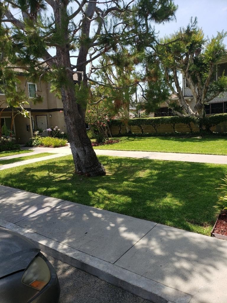 a sidewalk in front of a yard with a tree