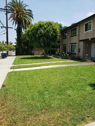 a yard in front of a house with grass and a sidewalk