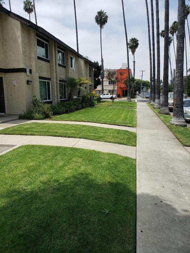 a sidewalk with grass and palm trees