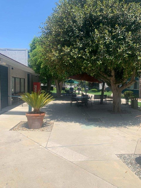 a patio with a tree and tables and chairs