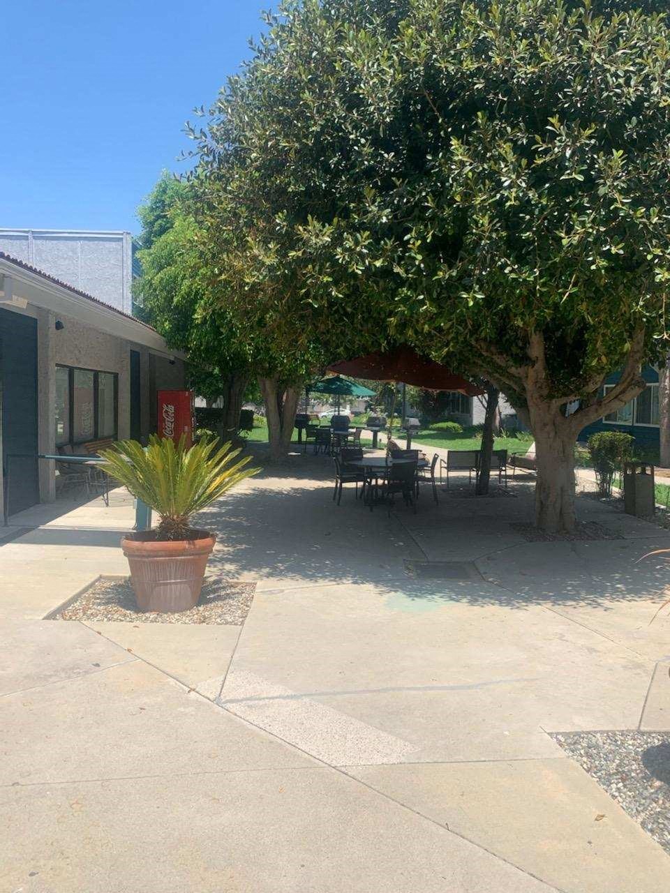 a patio with a tree and tables and chairs