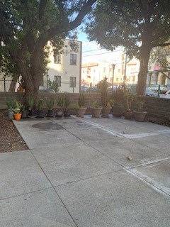 a courtyard with trees and potted plants on the sidewalk