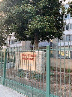 a tree behind a green fence with a sign on it