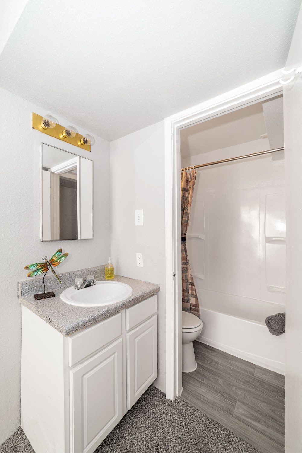 Updated Bathrooms at Carelton Courtyard Apartments, Texas, 77550