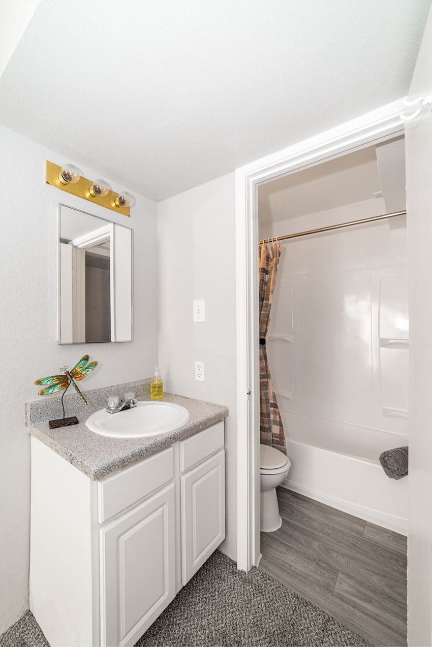 Updated Bathrooms Updated Bathrooms at Carelton Courtyard Apartments, Texas, 77550 - Photo Gallery