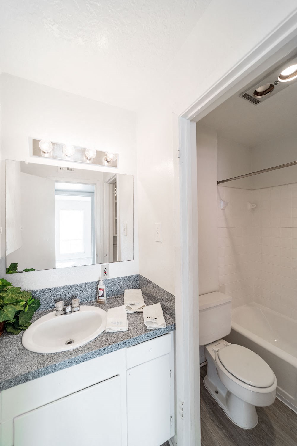 a bathroom with a sink and a toilet and a mirror