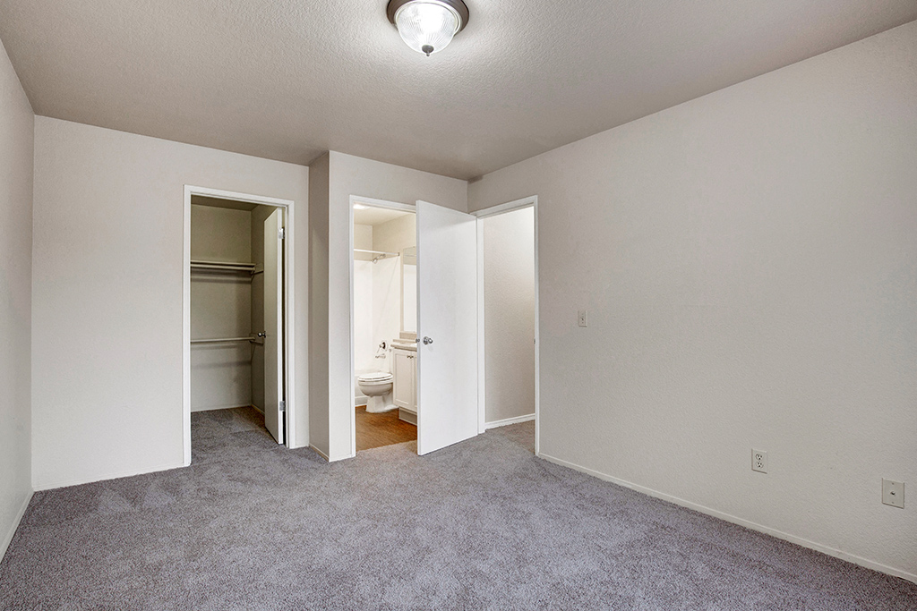 a bedroom with a carpeted floor and a closet