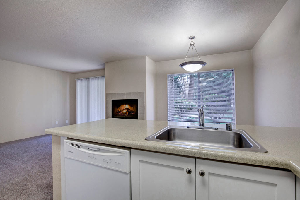 a kitchen with a sink and a window and a fireplace