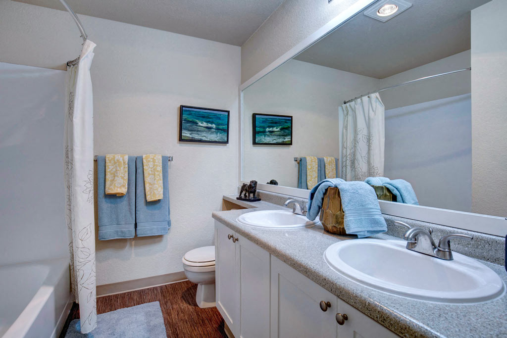 a bathroom with a sink and a toilet and a mirror