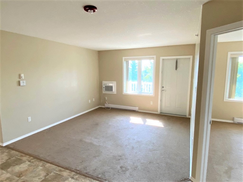 an empty living room with a carpeted floor and a white door