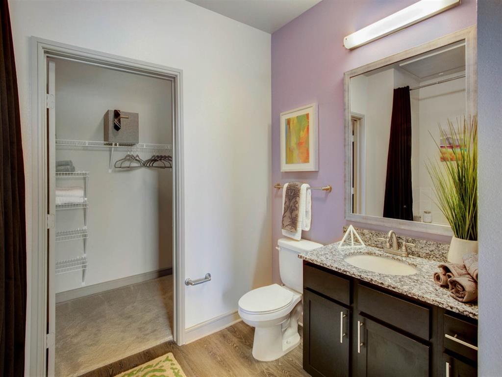 Large Walk-in Closet in bathroom