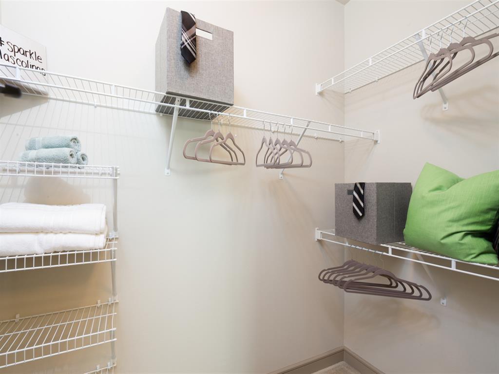 Large Walk-in Closet