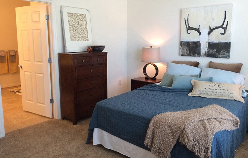 a bedroom with a bed and a dresser and a closet