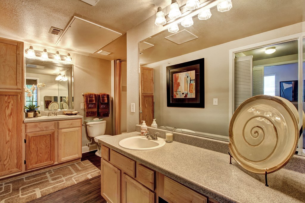 a bathroom with a sink and a mirror and a toilet