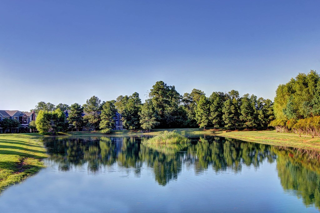 a view of a lake with trees in the background
