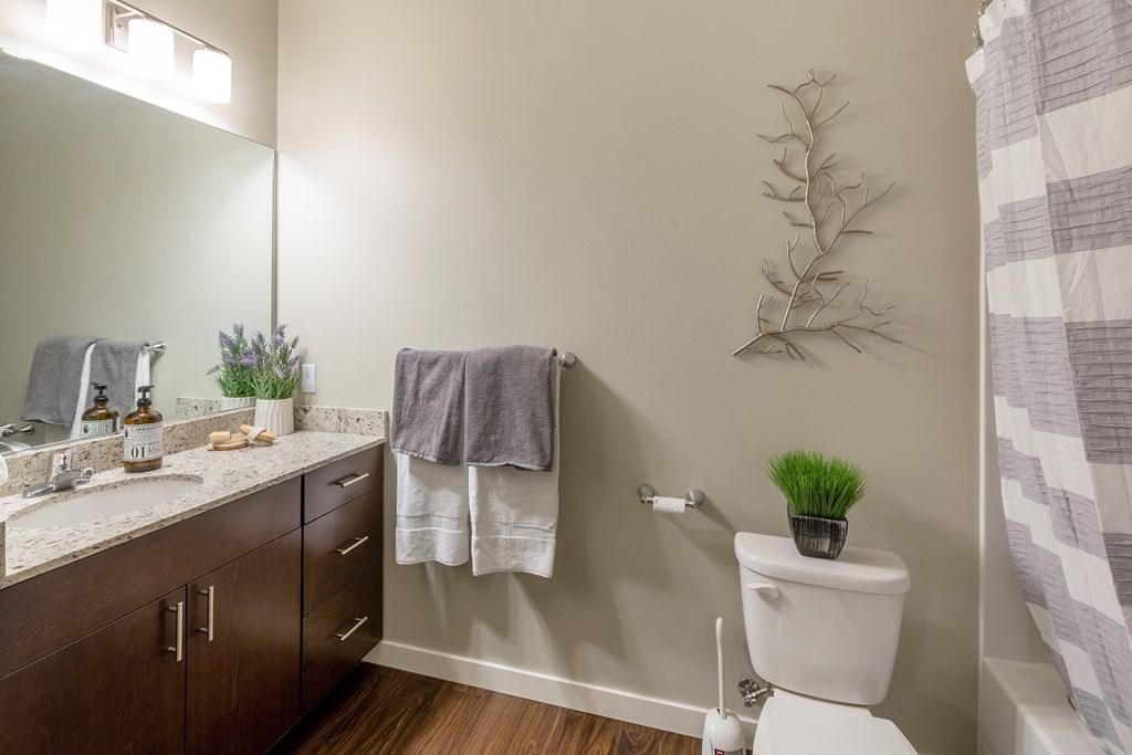 a bathroom with a toilet and a sink and a mirror