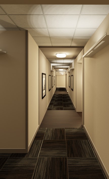 a long hallway with white walls and brown carpet and a ceiling light