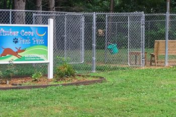 dog park at pet friendly apartment