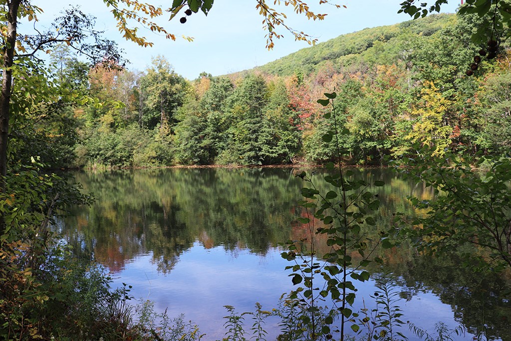 a reflection of a mountain in a lake