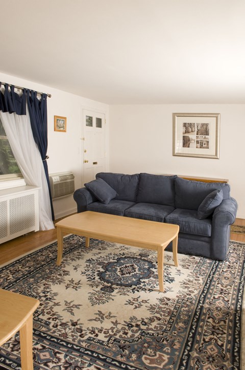 A living room with a grey couch and a patterned rug.