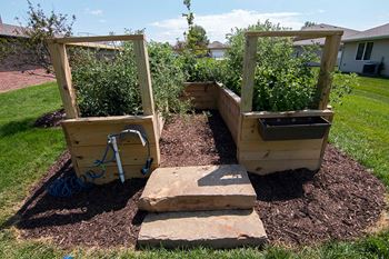Community garden with raised beds