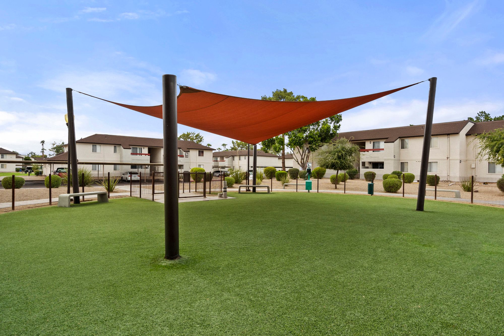 Dog Park, Park, Pets, Dogs