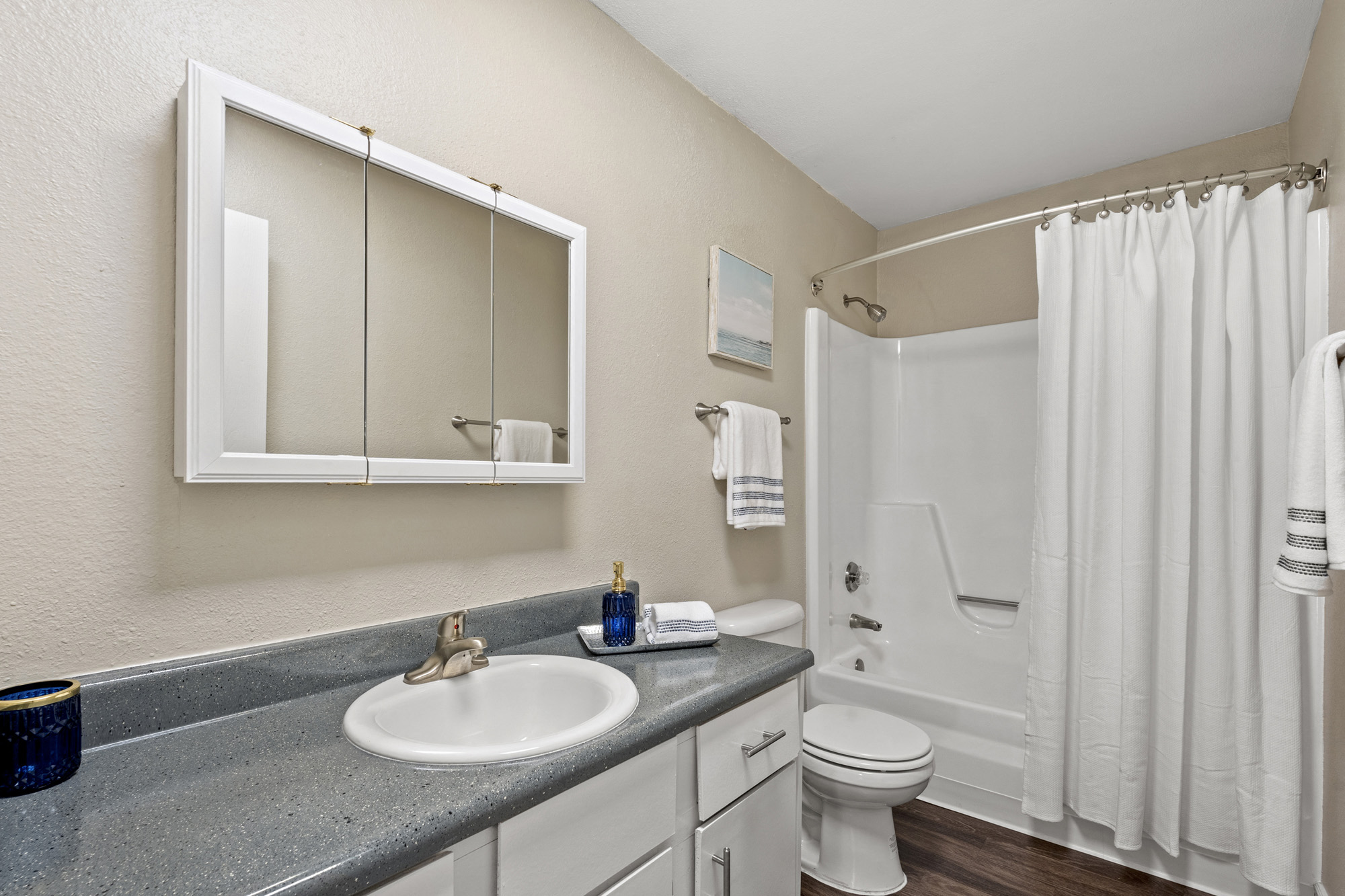 a bathroom with a sink and a toilet and a shower