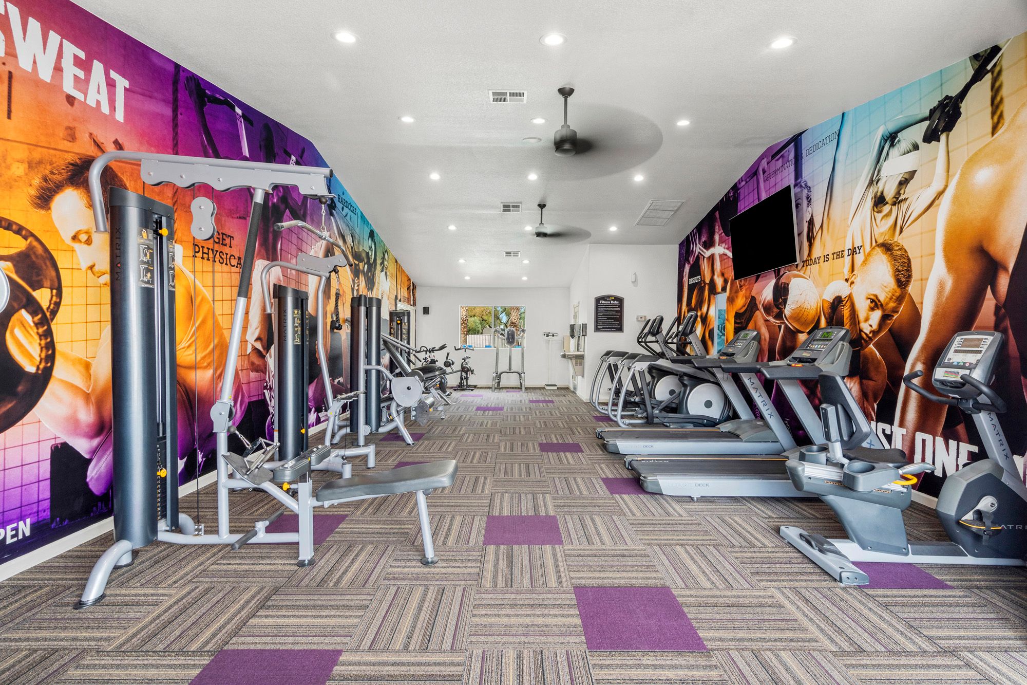 Fitness, Treadmill, Equipment, Exercise, Gym