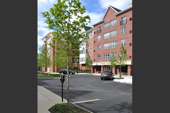 Pet Friendly Apartments For Rent In Union Nj Pet Friendly Apartments For Rent In Union Nj