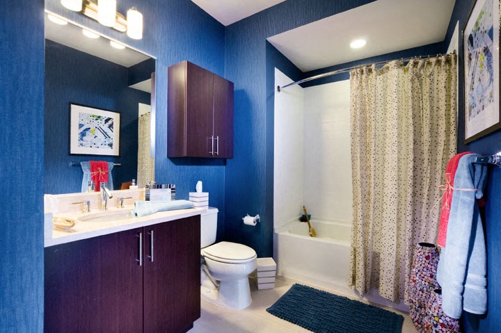 a bathroom with blue walls and a white toilet and shower
