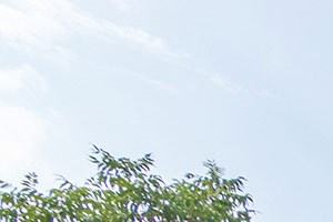 Bell Stonebriar Apartments - Frisco, TX | Bell Apartment Living