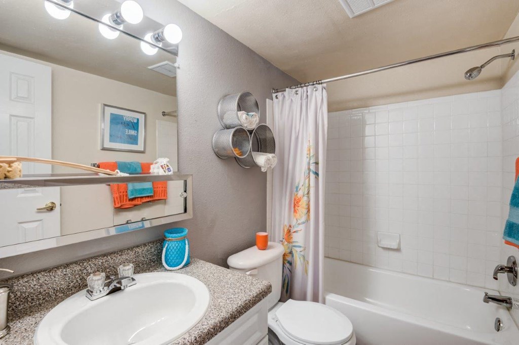 a bathroom with a sink and a toilet and a shower