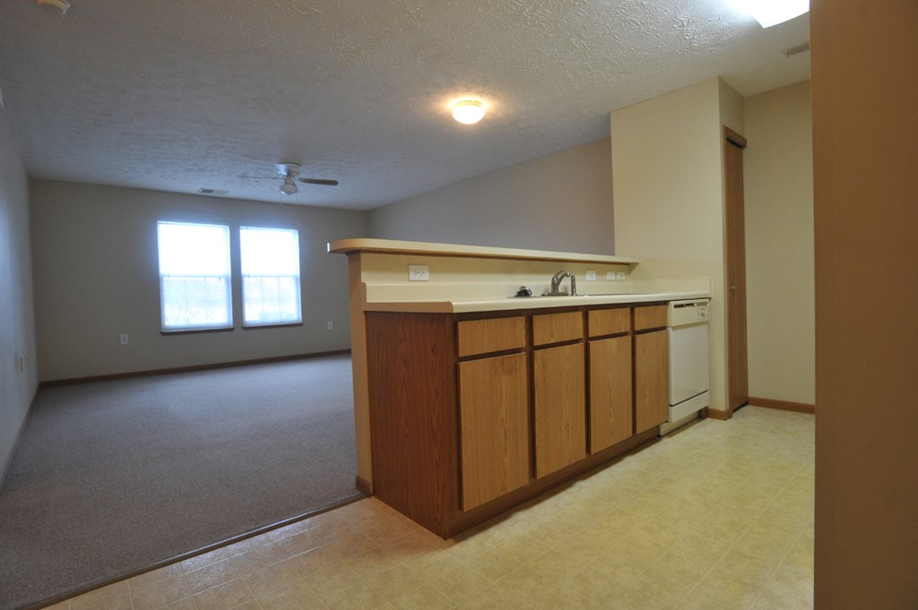 an empty living room and kitchen with a sink and a counter
